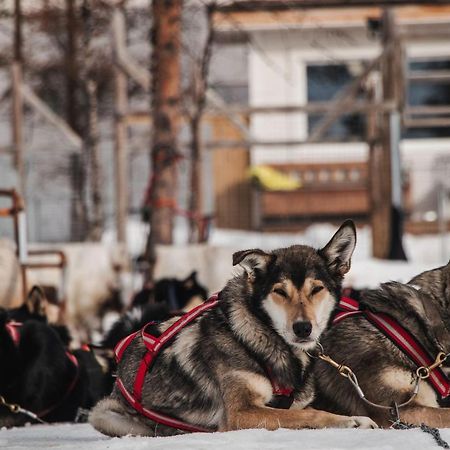 Mattarahkka Northern Light Lodge Kiruna Dış mekan fotoğraf