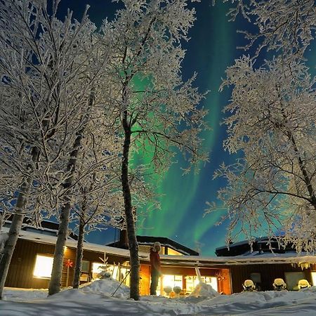 Mattarahkka Northern Light Lodge Kiruna Dış mekan fotoğraf