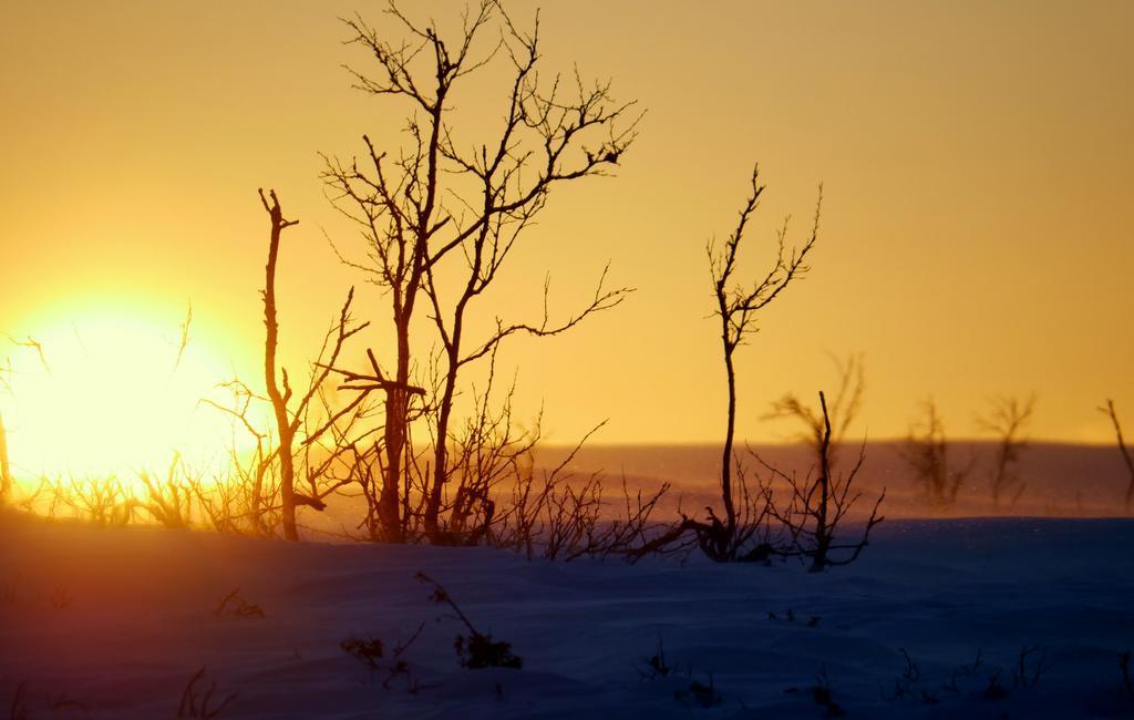 Mattarahkka Northern Light Lodge Kiruna Dış mekan fotoğraf
